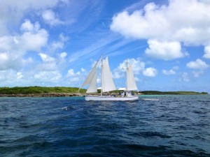 Ciganka sailing with Troop 380