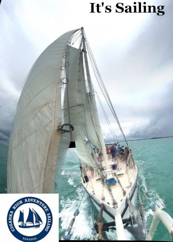Ciganka under full sail with logo