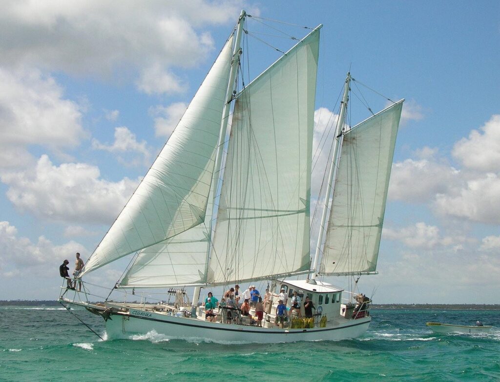 Ciganka under sail with crew
